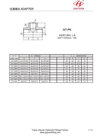 बीएसपीटी महिला टी